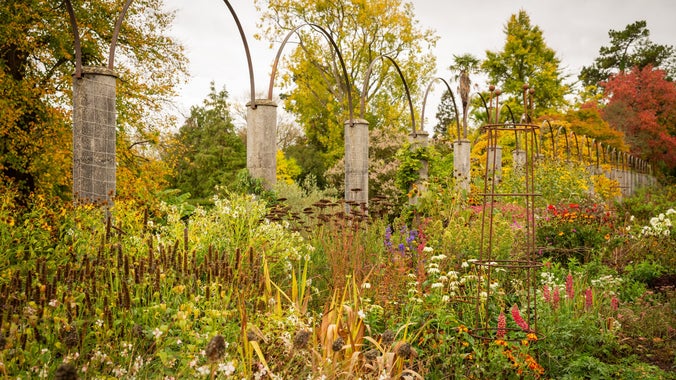 The Vine Walk in October at Dyffryn Gardens, with late herbaceous planting and autumn trees